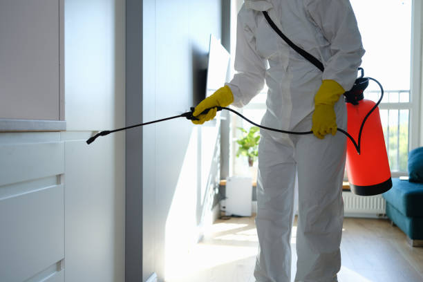 Professional Mold Removal in Laughlin Af, TX