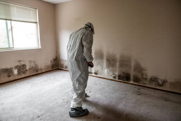 Best Mold Testing  in Laughlin Af, TX